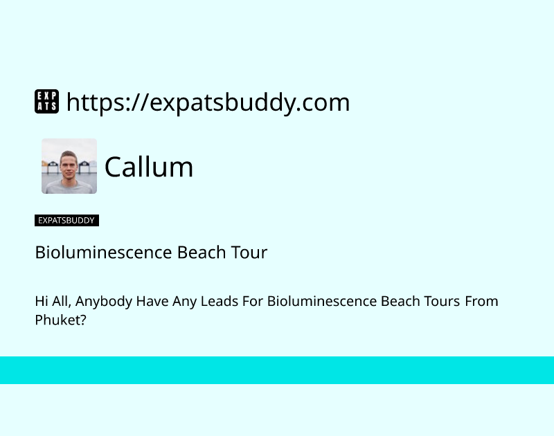 bioluminescence-beach-tour