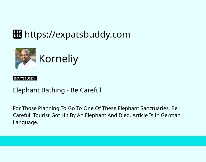 elephant-bathing-be-careful