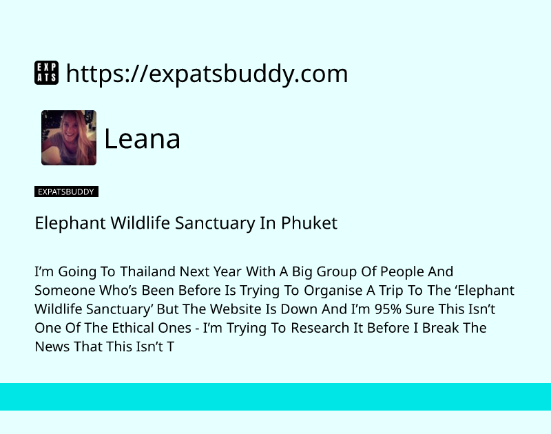 elephant-wildlife-sanctuary-in-phuket