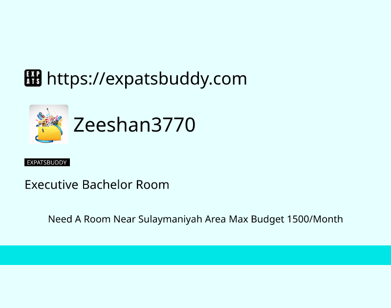 executive-bachelor-room