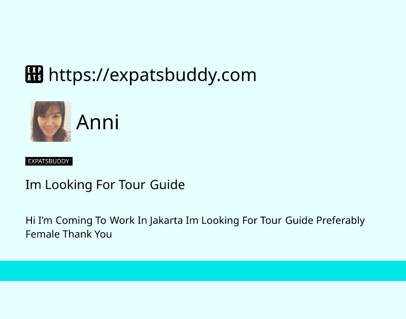 im-looking-for-tour-guide