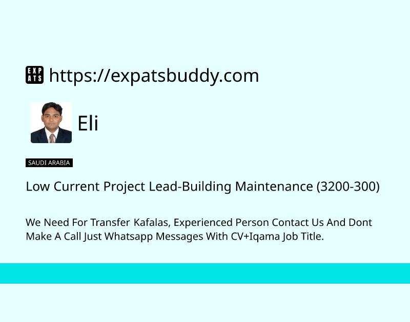 low-current-project-lead-building-maintenance-3200-300